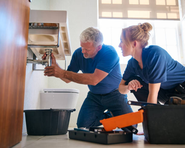 Best Shower Repair Services  in Grayvle, IL