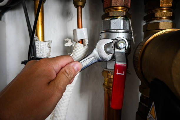 Best Drain Cleaning Services  in Grayvle, IL